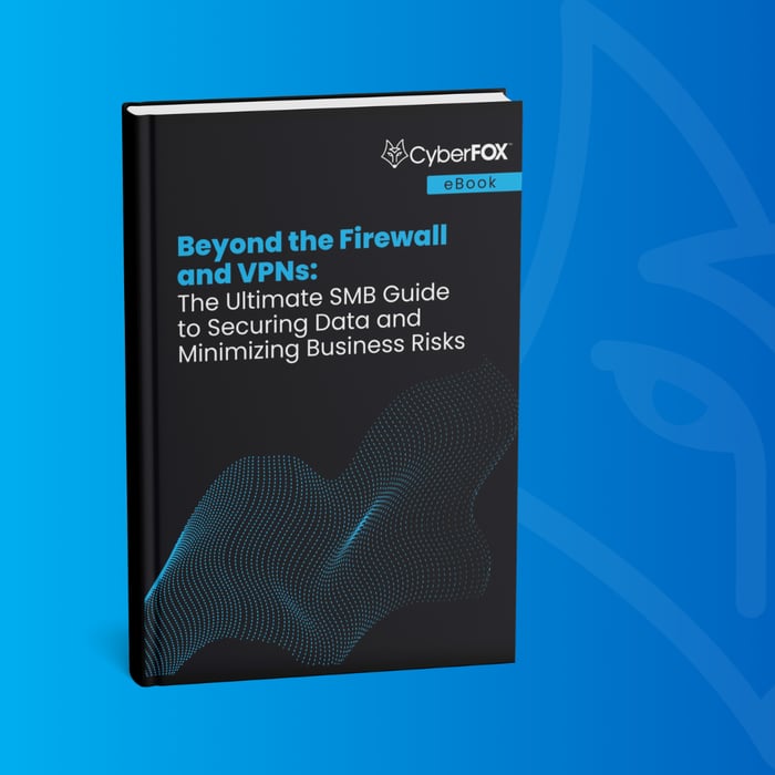 Updated v1 Beyond the Firewall and VPNs eBook - Paid LP Graphic