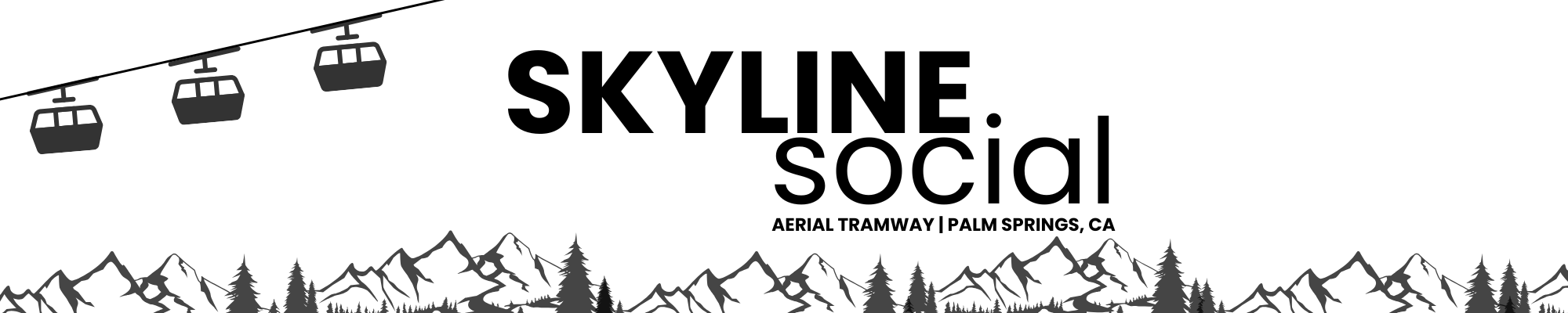 Skyline Social LP Banner-2